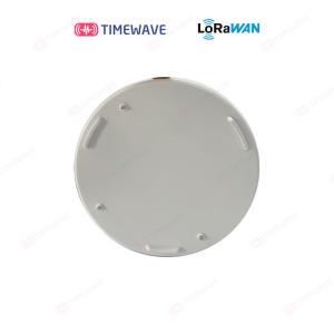 Quality ABS Shell LoRaWAN Water Immersion Detector Waterproof Battery Powered wholesale