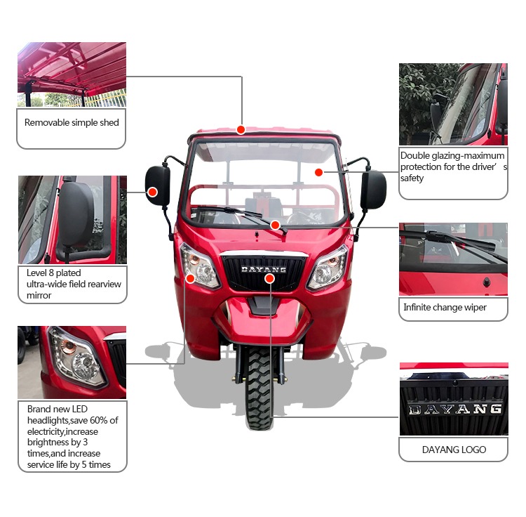 DAYANG Delivery Tricycle with Full Floating Rear-Axle and Five Wheels in Cameroon