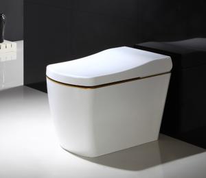 Quality 110V / 220V Electric Smart Toilet Smart Bidet Toilet Automatic Deodorization intelligent toilet wholesale