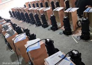 Quality Rain Dirty Water Submersible Sewage Pump 7.5kw 10hp Copper Wire Motor wholesale