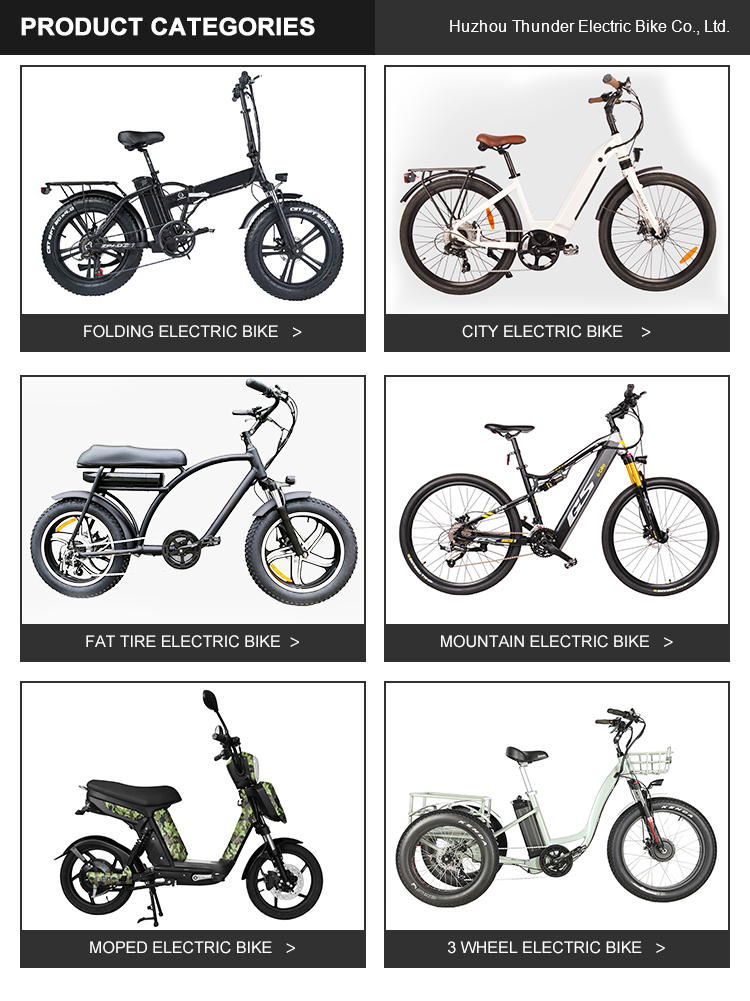 Max Speed 30-50Km/h Disc Brake Electric Fat Tire Bike 48V 400W Motor Ebike