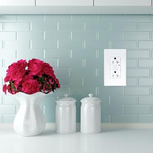 Quality LD -U001 4.2A Smart High Speed USB Charger Outlet 2 USB Ports With 2 Wall Plates wholesale