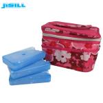 Non - Toxic Plastic Ice Packs White Colors For Food Storage MSDS Standard
