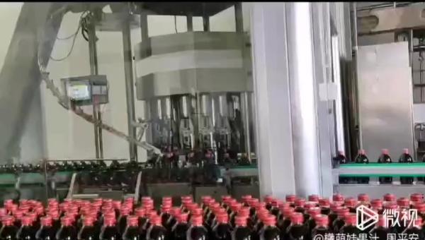 Top Quality Bottle Cap Sealing Machine , Full Automatic Beer Bottle Capper For