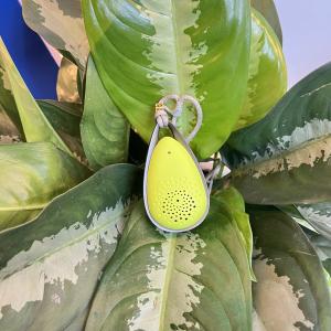 Quality Experience Clean and Fresh Air Anywhere with VDETTE NC01 Wearable Air Purifier wholesale
