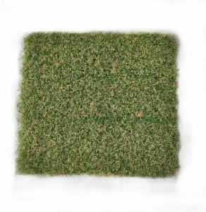 Quality Indoor SGS Artificial Golf Turf Grass 15mm Putting Green wholesale