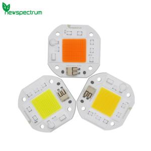 China High Lumen Output 50W LED Chip on sale
