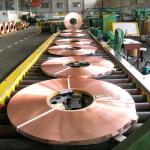 Beryllium Copper Metal Roll C17200 C17300 C17500 50x5mm Copper Sheet Metal Roll