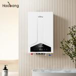 Gas Water Heater with Balanced Flue Water Heater 110V-220V Electrical Voltage No
