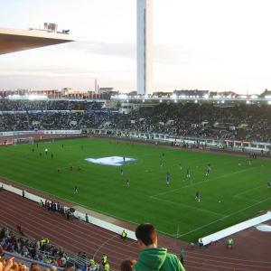 Quality Synthetic Artificial Grass Soccer Field / Green Fake Artificial Grass Carpet wholesale
