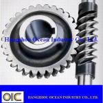 Worm Gears and Pinions