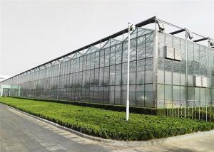 Quality Good Reliability Agricultural Glass Greenhouse 4mm / 5mm Glass Covering wholesale
