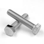 ISO9001 M8 M10 M12 Stainless Steel Hex Bolt 304/316/2205