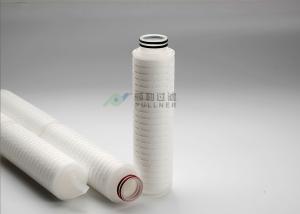 Hydrophilic PTFE Sterile Pleated Filter 0.22 0.45 0.3 Micron