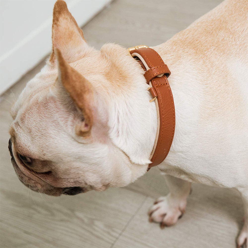 Soft Vegan Genuine Leather Dog Rolled Pet Collar Leash In Bulk Premium Quality