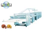 Tiramisu Cake production line Russia Tiramisu cake Manufacturing Equipment /