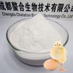 Organic Calcium 10% Chelated Minerals Powdered Egg Shells Light White Powder
