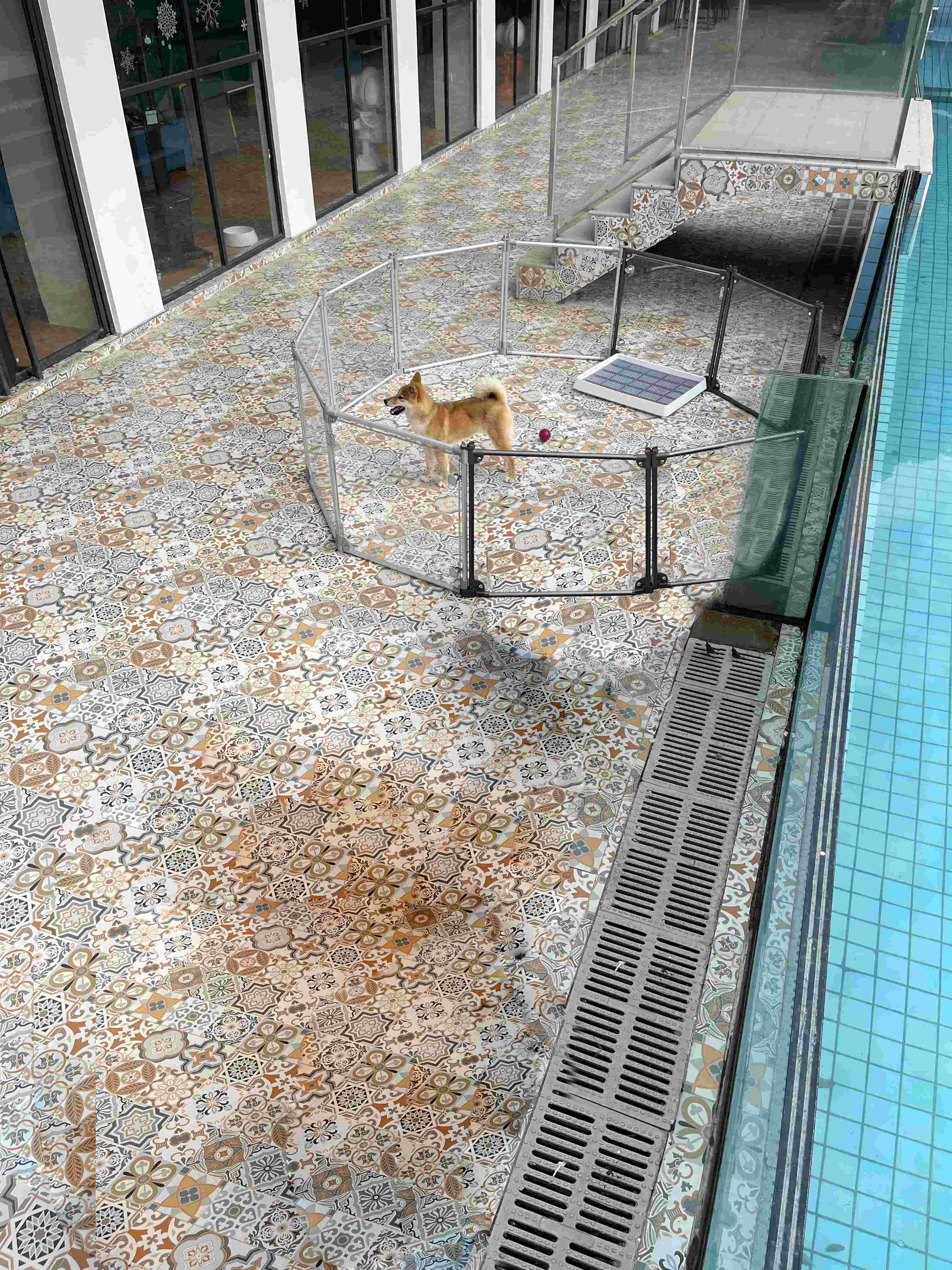 Outdoor Metal Portable Pet Fences For Yard Pool And Garden