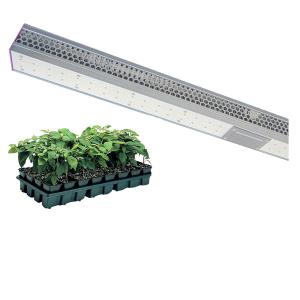 Quality Red Spectrum LED UV IR Grow Light 640W 660nm Greenhouse Customized wholesale
