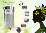 5 Big heads Cavitation+ RF+ Vacuum cryolipolysis slimming machine