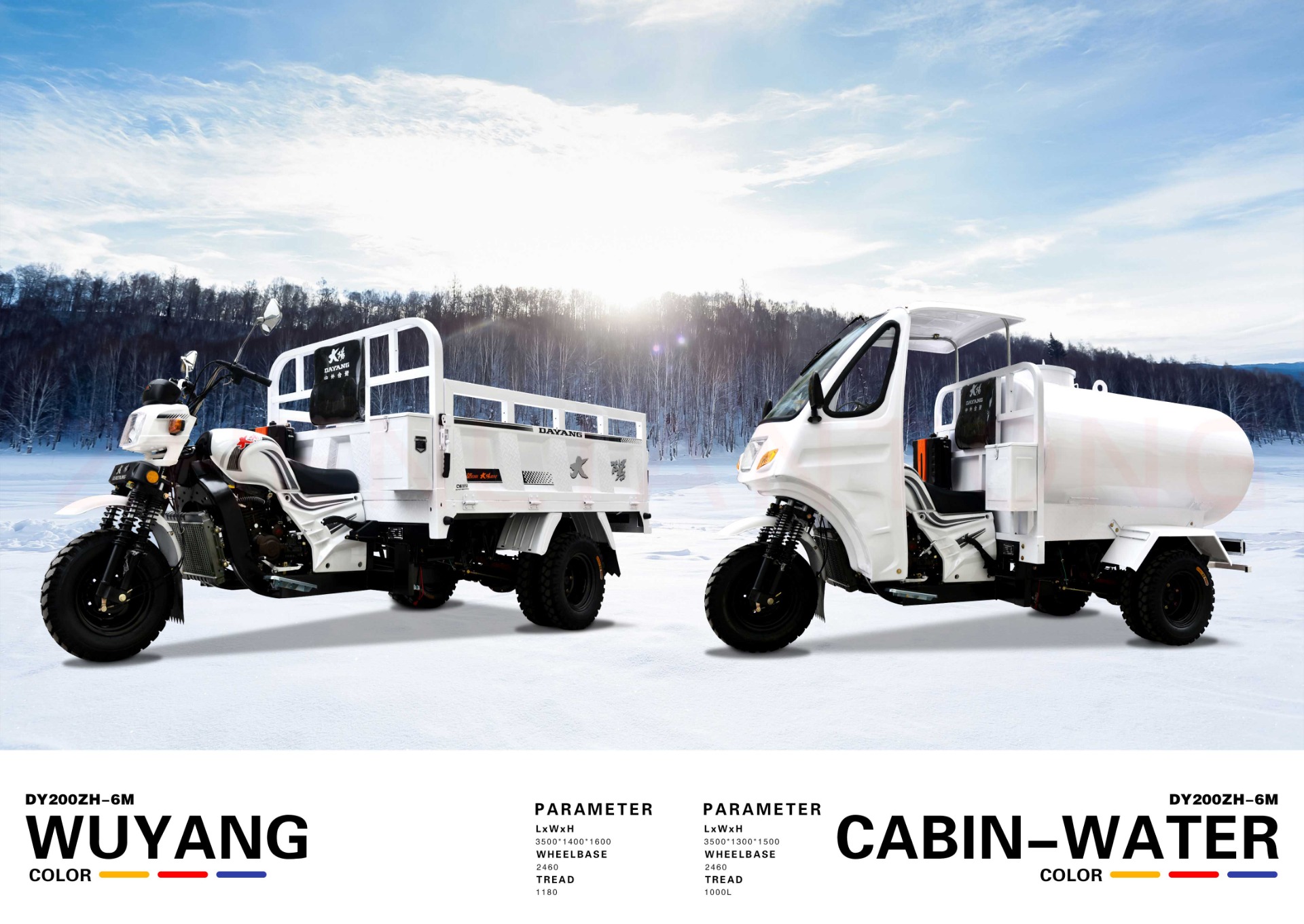 800W Semi-Cabin Motorized Cargo Tricycle with Enclosed Cabin and Plastic Cargo Cover