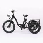High Capacity Family Cargo Bike with Torque 80-90 Nm and Rear Carrier Battery