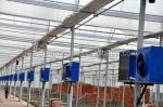 Hydroponic System for Aquaponics in Multi-Span Agricultural Greenhouse