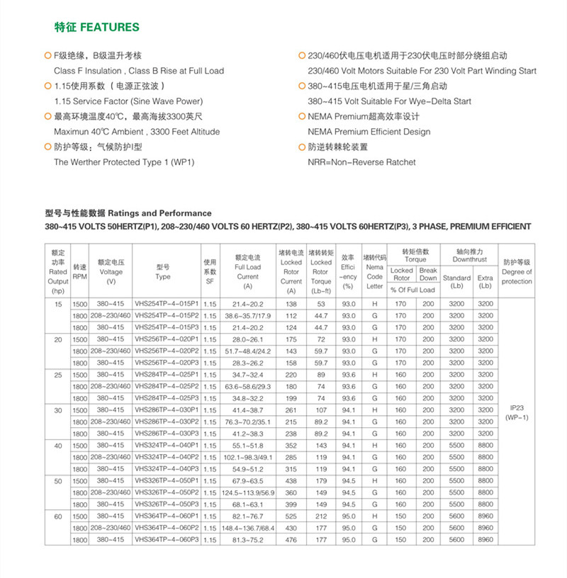 230V Special Electric Motors Vertical Hollow Shaft With NEMA Premium