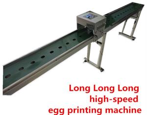 Quality 600 DPI Egg Continuous Inkjet Printer For Chicken Farm Production Line wholesale