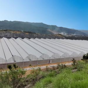 Quality Multi Span Agricultural / Commercial Hydrophonic Greenhouse Easily Installed wholesale