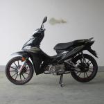 6.5KW Front Disc Brake TR135-NG Cub Motorcycle
