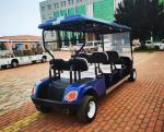 OEM New 6 Seaters Golf Cart 4 Wheels Certificated 60v 100ah Lead-Acid Battery