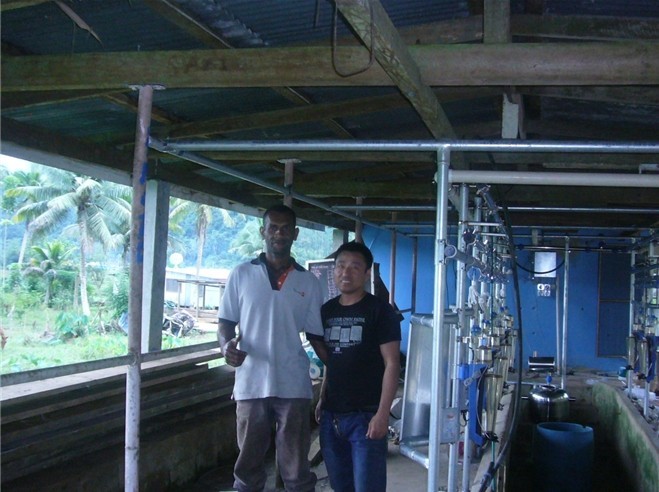 HL-G2 Herringbone Milking Parlor with Automatic Cluster Remover for Cow Milking