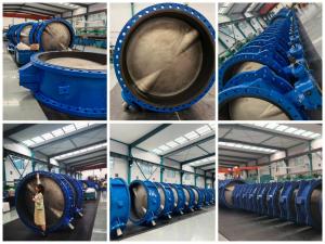 Quality BS EN10092-2 DI ductile iron cf8m ss316 chinese factory wholesaler butterfly valve manufacturer wholesale