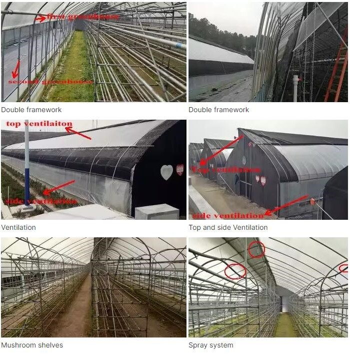 Strong Polytunnel Greenhouse 3m X 2m 9m 10m Growing Mushroom Natural Ventilation Shade Net
