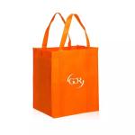 Promotional Printing Non Woven 80GSM Reusable Shopping Bag