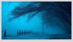 16.7m Lvds 1920x1080 Laptop Screen 30 Pin LCD 21.5 Inch Full Viewing Angle