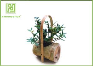 Quality Attractive Indoor Bamboo Flower Pots For Various Succulents Plants wholesale