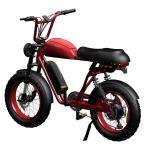 20 Inch Fat Tire 73 Style Ebike 7 Speed Electric Mountain Bike 48V 500W 750W
