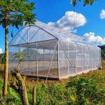 Hot Galvanized Pipe Frame Plastic Grow Tunnel