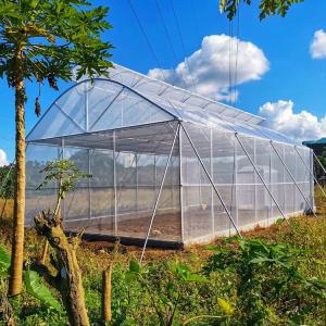 Quality Hot Galvanized Pipe Frame Plastic Grow Tunnel wholesale