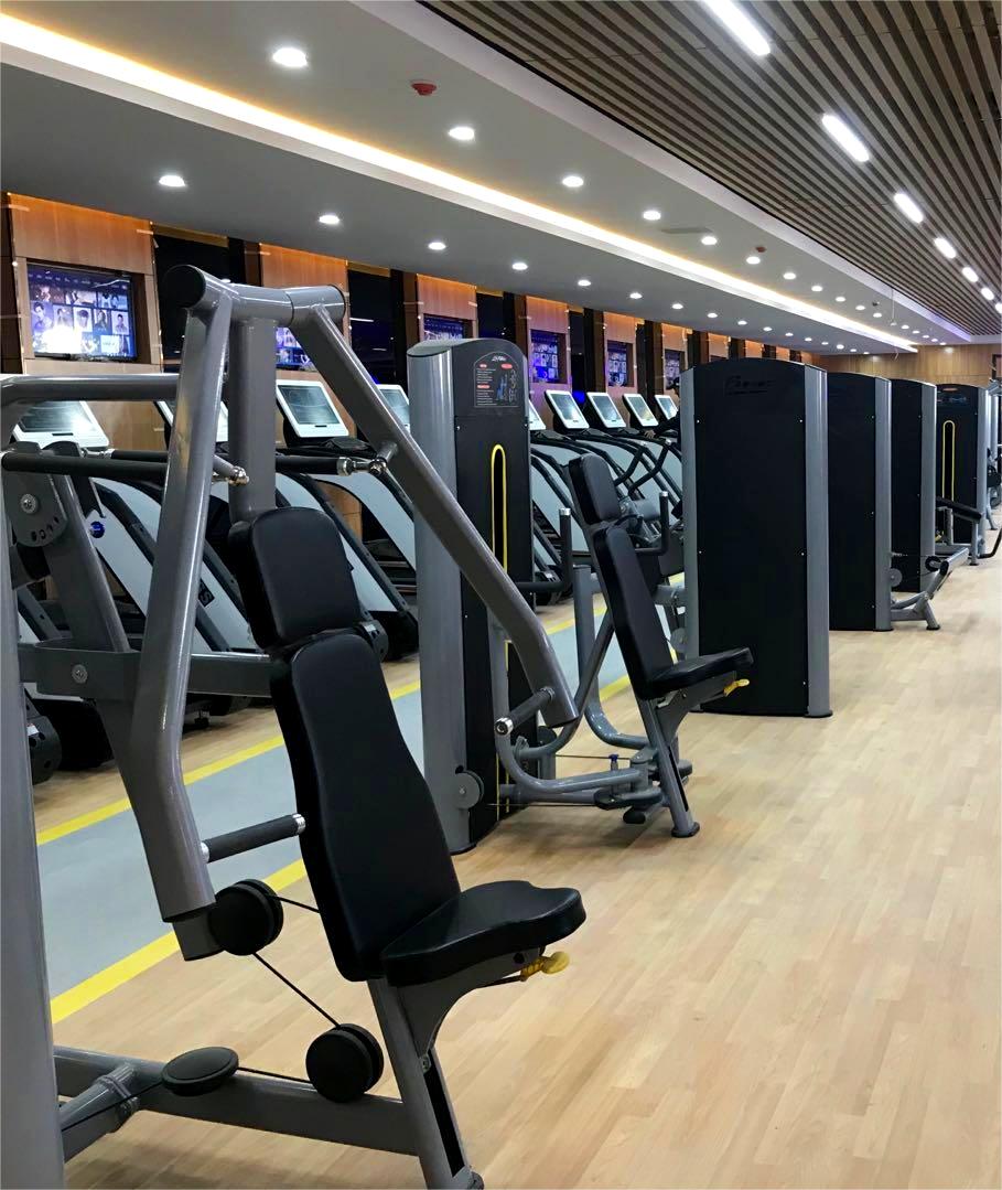 Hot Selling High Quality Commercial Gym Equipment Kickback Glute Machine