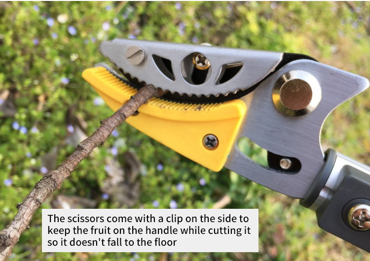 Garden Long Cordless Pruner With Extension Pole Branch Loppers Telescopic