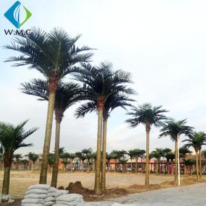Quality Indoor Outdoor Artificial Coconut Palm Trees For Water Amusement Park Large Size wholesale