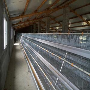 Quality 4 Layers / Cell Chicken Poultry Cage Automatic Ventilation Cooling System wholesale