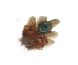 Quality Exquisite Dyed Peacock And Pheasant Feather Hat Pin 5x10Cm Party Supplies wholesale
