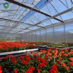 120km/H Polyethylene Film Greenhouse UV Radiation Protection