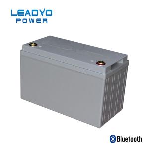 Quality 50Ah 24V Lifepo4 Battery Deep Cycle Lithium Ion Battery Weight 31 Lbs wholesale