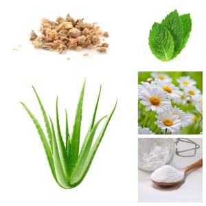 Quality Organic Oral Care Toothpaste Aloe Vera Teeth Whitening Baking Soda Natural Plant Extracts Sls Free wholesale