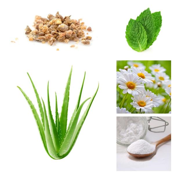 Organic Oral Care Toothpaste Aloe Vera Teeth Whitening Baking Soda Natural Plant